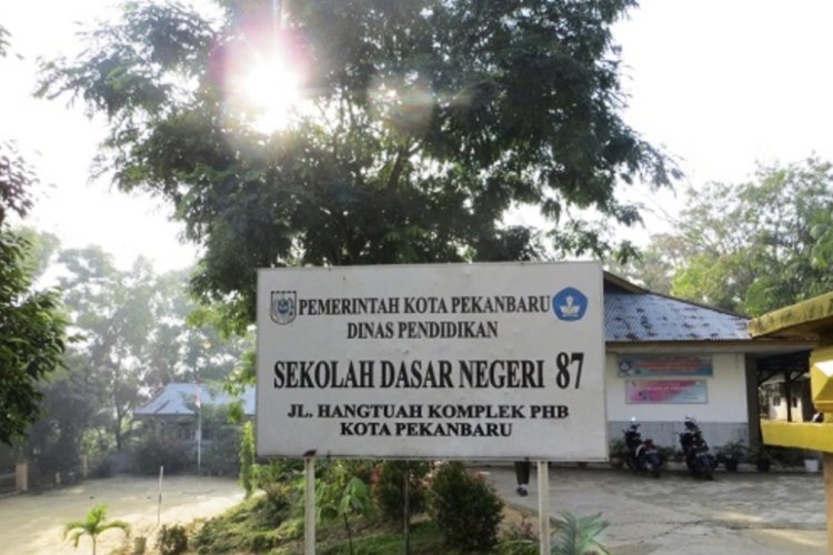 Kekurangan Murid SD di Pekanbaru, Disdik Segera Ambil Tindakan
