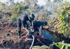 Kebakaran Hutan di Kabupaten Rohil, Brimob Polda Riau Turun Padamkan Api
